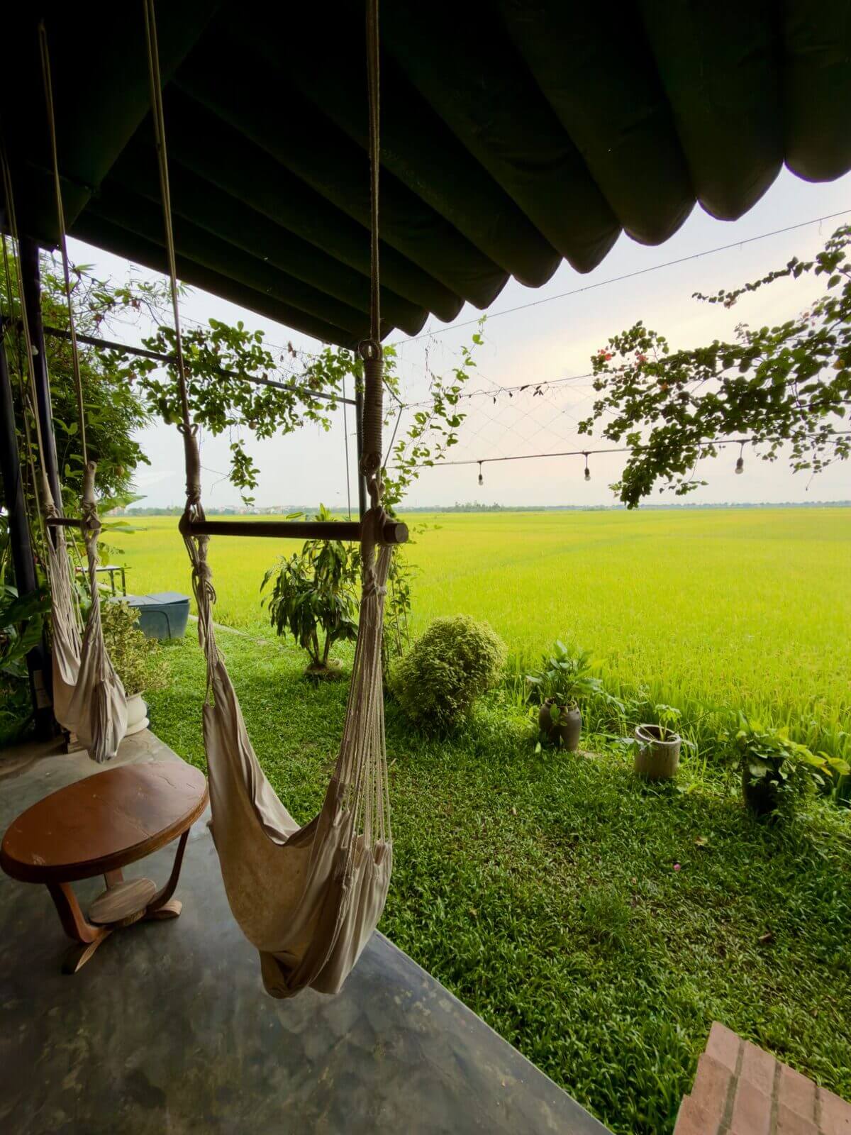 Hammocks hanging under a green awning overlooking rice fields at Hub Hoi An