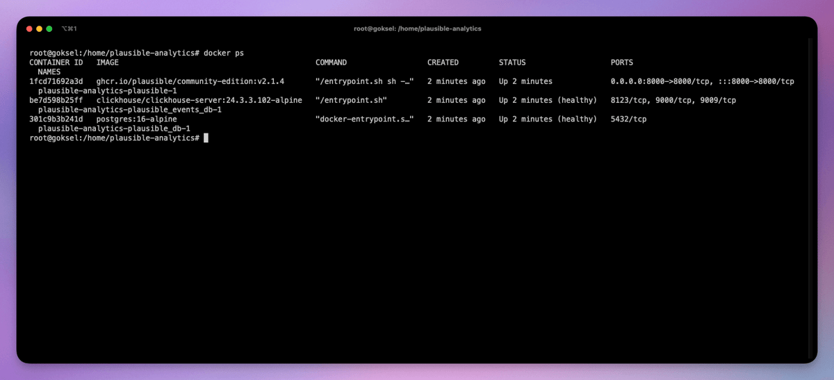 A terminal running docker ps with the Plausible containers up and healthy.