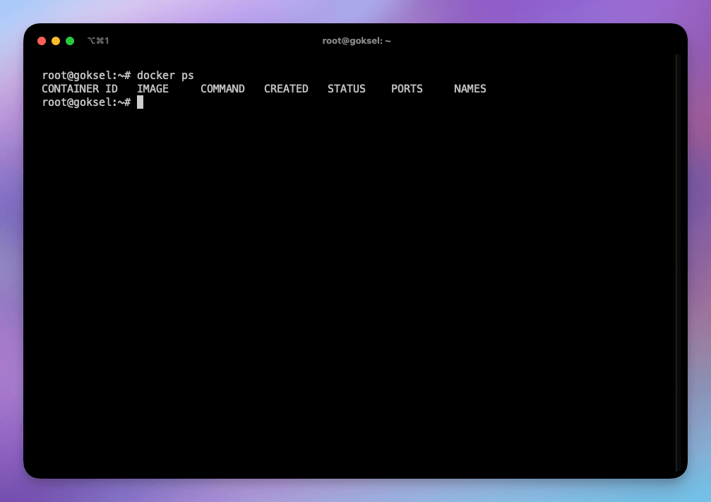 A terminal running docker ps before any containers are started.
