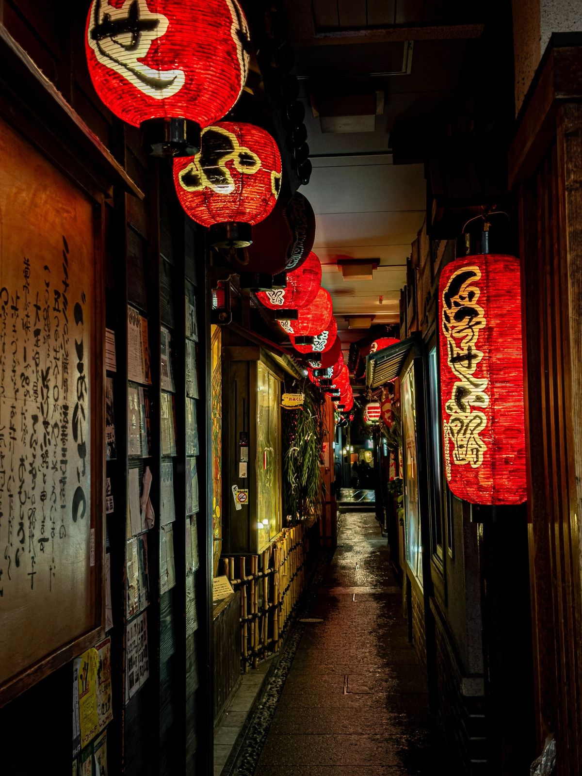 Red lanterns along a narrow alley in Osaka at night