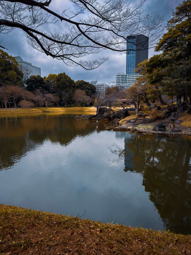 Bare trees and an office tower reflected in a still garden pond.