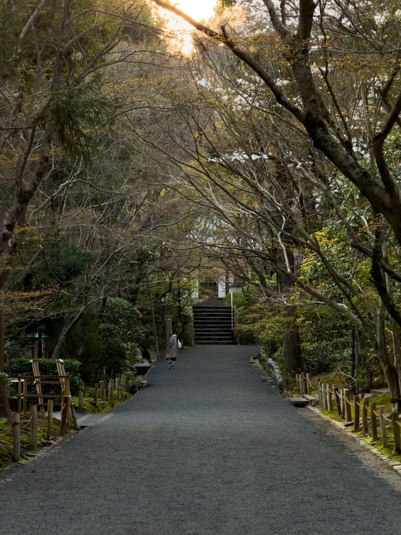 A wide gravel path under bare trees leads to stone steps.