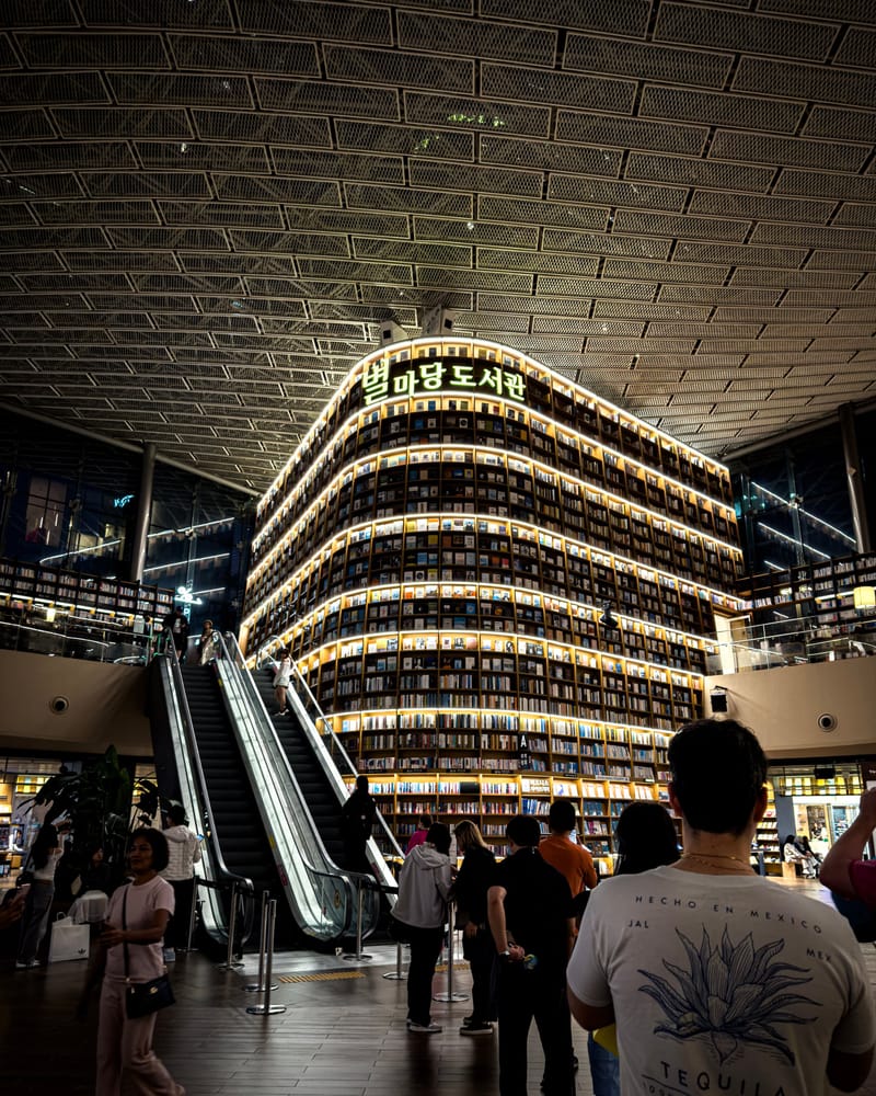 Visitors ride escalators beside a curved wall of bookshelves in a large library.
